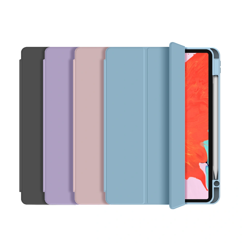 Bao da Ipad